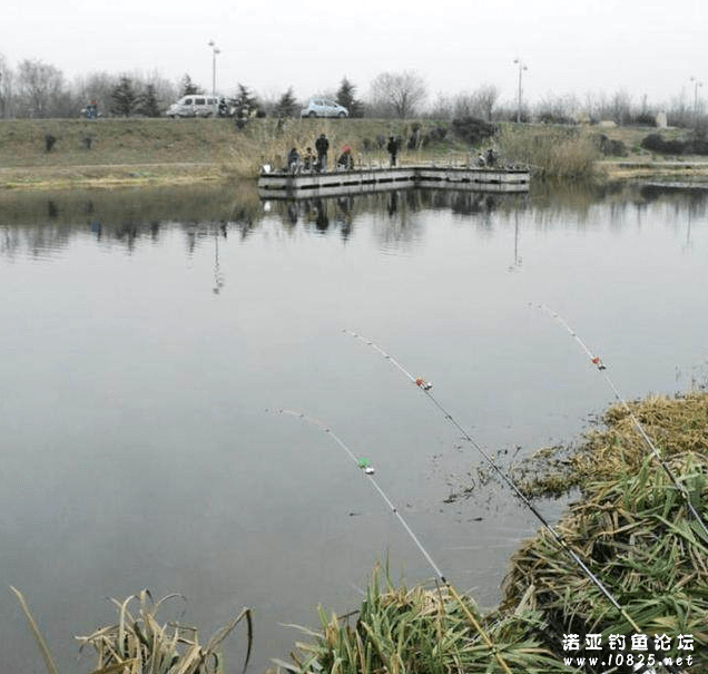 冬天钓鱼的十个实用小技巧冬季钓鱼的技巧和方法(图2)
