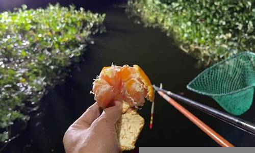 钓鱼橘子哥(橘子汁钓鱼)(图1)