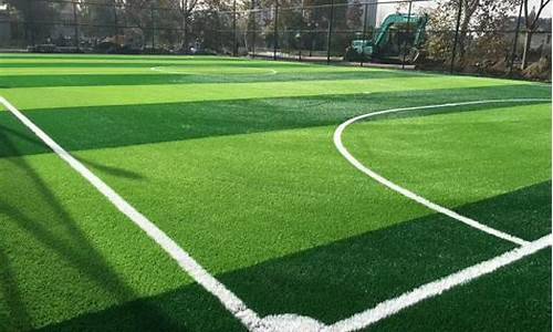 足球场人造草坪多少钱一平米(足球场人造草坪多少钱一个平方米)(图1)