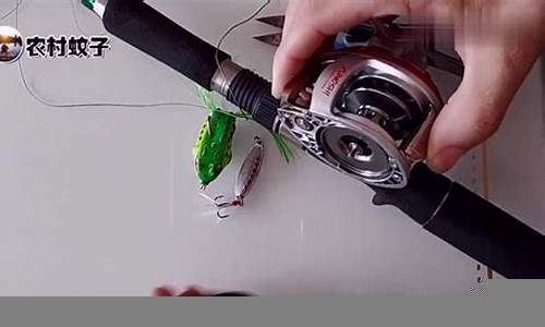 海竿漂钓鱼视频全过程图片(海竿滑漂钓鱼视频)(图1)