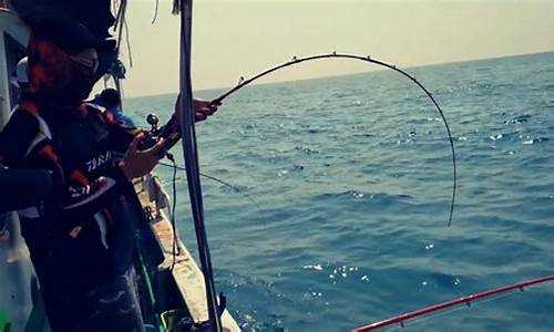 钓鱼视频最新(2021钓鱼视频)