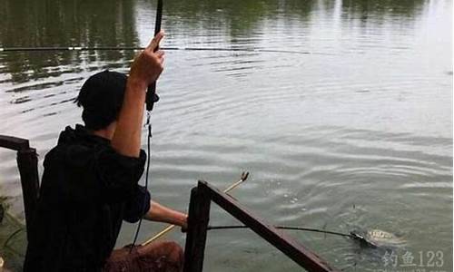 泰国黑坑钓鱼技巧视频