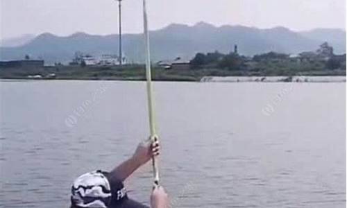 美女钓鱼视频野钓大鱼视频(图1)