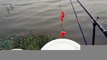 钓鱼鱼饵的制作方法和配方视频(图1)