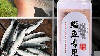 淡水鱼饵料配方视频教程